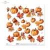 scrapbooking paper SL1637