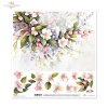 scrapbooking paper SL1561