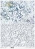 Rice paper R0809L