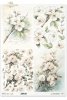 Rice paper R1429L