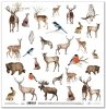 scrapbooking paper SL0810