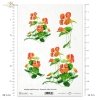 rice-paper-decoupage-nasturtium-flowers-meadow-garden-Krystyna-Jałochowska-R0125 