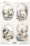 kozy, wiejskie zwierzęta, wiosenne klimaty, rustykalny styl*goats, countryside animals, springtime climate, rustic style*Ziegen, Tiere auf dem Lande, Frühlingsklima, rustikaler Stil*cabras, animales de campo, clima primaveral, estilo rústico