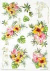 Zestaw kreatywny na papierze ryżowym - Tropikalne marzenia*Creative set on rice paper - Tropical dreams