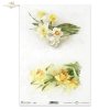wiosenne kwiaty, żonkil, żonkile, narcyz, narcyzy, bukiet, kwiat, łąka, ogród, wiosna, spring flowers, daffodil, daffodils, narcissus, narcissi, bouquet, flower, meadow, garden, spring, Frühlingsblumen, Narzisse, Narzissen, Strauß, Blume