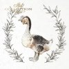 gęsie z roślinnymi wieńcami*geese with floral wreaths*Gänse mit Blumenkränzen*gansos con coronas de flores