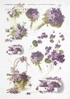 flower, flowers, flower arrangement, violets, bouquets of violets, retro, baskets