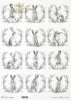 zające, wieńce*hares, wreaths*Hasen, Kränze*liebres, coronas