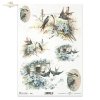 ptak, ptaki, jaskółka, jaskółki, kwiaty, wiosna, R672, bird, birds, swallow, flowers, spring, Vogel, Vögel, Schwalbe, Blumen, Frühling, pájaro, golondrina, flores, primavera 