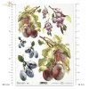 fruit, plum, prune, plum tree, branches, leaves