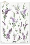 lawenda, lavender,  flowers, lavender, lavender field, lavender bouquets, bouquet, garden, lawenda, lavender, flores de lavanda, flores, lavanda, campo de lavanda, ramos de lavanda, bouquet, jardín , Lavendelblüten