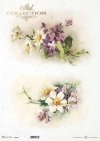 wiosenne kwiaty, pierwiosnek, fiołki*spring flowers, primrose, violets*Frühlingsblumen, Primeln, Veilchen*flores de primavera, prímulas, violetas