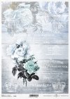 retro, vintage, kwiat, róża, róże, bukiet, napisy w stylu retro, deska, deski, królewskie insygnia, korona, R732, flower, rose, bouquet, retro lettering, board, boards, royal insignia, crown, Blume, Rose, Strauß, Retro-Schriftzug, Tafel, Tafeln, königlich