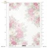  róża, róże, ogród, kwiat, wiosna, lato, pastel, R837, rose, garden, flower, spring, summer, pastel, Rose, Rosen, Garten, Blume, Frühling, Sommer, Pastell, rosa, rosas, jardín, flor, primavera, verano, pastel 