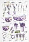 lawenda, flower, flowers, lavender, lavender field, lavender bouquets, bouquet, R041