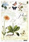 papír pro decoupage Soft S0006