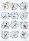 Seria Decorated with Frost*Series Decorated with Frost*Serie - Mit Frost verziert*Serie - Decorado con escarcha