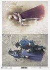 zwierzęta retro, zwierzęta w strojach, zoomorfizm, vintage, gąska, kruki*retro animals, animals in costume, zoomorphism, vintage, Victorian, goose, ravens