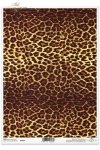 skóra leoparda, R084, leopard, skin, piel de leopardo , Leopardenfell 