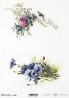 wiosenne kwiaty, chaber, koniczyna*spring flowers, cornflower, clover*Frühlingsblumen, Kornblume, Klee*flores de primavera, aciano, trébol