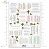 teksty kolęd w języku polskim, kolęda, kolędy, ostrokrzew, Christmas carols - texts in Polish, Weihnachtslieder - Texte auf Polnisch, Villancicos - textos en polaco 
