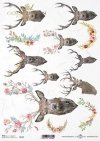 papier decoupage głowy, poroża jelenia*paper decoupage head, antlers deer*cabezas, cuernos de venado*головы, оленьи рога*Köpfe, Hirschgeweihe