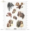 retro and vintage, hunting, hunting dogs, dog, dog muzzles, dog heads 