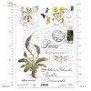 Klar Transparente Folie F146