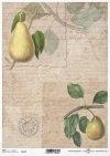 Fruta de decoupage de papel, pera*Бумага декупаж фруктов, груша*Papier decoupage Frucht, Birne