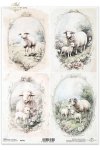owce, wiejskie zwierzęta, wiosenne klimaty, rustykalny styl*sheep, countryside animals, springtime climate, rustic style*Schafe, Tiere auf dem Lande, Frühlingsklima, rustikaler Stil*ovejas,  animales de campo, clima primaveral, estilo rústico