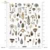 ususzone kwiatki, zioła, rośliny, suszki*dried flowers, herbs, plants, dries*Trockenblumen, Kräuter, Pflanzen, getrocknet*flores secas, hierbas, plantas, seca