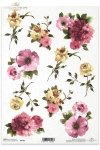 flowers, bud, buds, leaf, leaves, rose, roses, garden, flores, cuatro especies de flores, flores, capullos, hojas, follaje, rosa, rosas, jardín , Blumen, vier verschiedene Blumenarten, Blumen, Knospen, Blätter