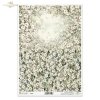 kwiaty flowers Blumen flores 