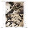 demons, transformation, woman, women, man, ravens, crows, rooks, birds, evil, mystery, wing, wings, Schwarz & Weiß, Dämonen, Verwandlung, Frauen, Mann, Raben, Krähen, Vögel, böse, Geheimnis, Flügel