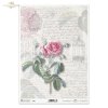 retro, vintage, list, ręczne pismo, róża, kwiat, płatki kwiatów, liście, klatka dla ptaków, R643, letter, handwriting, rose, flower, flower petals, leaves, birdcage, Brief, Handschrift, Rose, Blume, Blütenblätter, Blätter, Vogelkäfig, carta, escritura, ro