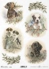 dog heads, Christmas decorations, holly, mistletoe, Tiere, Hund, Hundeköpfe, Weihnachtsschmuck, Stechpalme, Mistelzweig, animales, perro, cabezas de perro, decoraciones navideñas, acebo, muérdago 