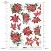 poinsecja, gwiazda betlejemska, kwiat, klimat Bożego Narodzenia, poinsettia, star of Bethlehem, flower, Christmas spirit, Weihnachtsstern, Stern von Bethlehem, Blume, Weihnachtsstimmung, poinsettia, estrella de Belén, flor