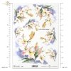 lilia, lilie, kwiat, ogród, łąka, wiosna, autorka grafiki Maria Kopeć, R900, lirio, lirios, flor, jardín, prado, primavera, Lilie, Lilien, Blume, Garten, Wiese, Frühling, lily, lilies, flower, garden, meadow, spring