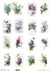 wiosenne kwiaty, niezapominajki, frezja, krokus, czosnek, kwiaty jabłoni, wiśni, tulipan, storczyk, rumianek, lewkonia, chaber, koniczyna, clematis*spring flowers, forget-me-nots, freesia, crocus, garlic, apple blossom, cherry blossom, tulip, orchid, camo