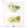 wiosenne kwiaty, żonkil, żonkile, narcyz, narcyzy, bukiet, kwiat, łąka, ogród, wiosna, spring flowers, daffodil, daffodils, narcissus, narcissi, bouquet, flower, meadow, garden, spring, Frühlingsblumen, Narzisse, Narzissen, Strauß, Blume