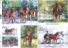 Papier Decoupagepapier zeitgenössische Malerei-Pferde*Бумага Декупаж современной живописи-лошади*Papel Decoupage pintura contemporánea-caballos