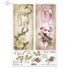 cup of tea, tea, tea time, Cup of Tea, tea cups, cup, patera, rose, roses, rubella, lace, notes, bayberry
