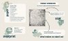 Scrapbooking papers SLS-002 ''French Chic''