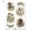 zwierzęta, pies, psy, psiak, piesek, świąteczne stroiki, ostrokrzew, jemioła, zwierzaki, jamnik, dog, dog heads, Christmas decorations, holly, mistletoe, Tiere, Hund, Hundeköpfe, Weihnachtsschmuck, Stechpalme, Mistelzweig