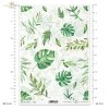zielono-niebieskie, zielone, liść, liście, monstera, monstery, filodendron, filodendrony, green-blue, green, leaf, leaves, monstera, philodendrons, grün-blau, grün, Blatt, Blätter, Monstera, Philodendrons, verde-azul, verde, hojas