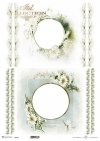 ramki, szlaczki, dekory, stokrotki, kwiaty astry, aster chiński, białe kwiaty*frames, slides, decors, daisies, asters, Chinese asters, white flowers