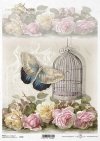 retro, kwiat, róża, róże, motyl, ćma, ćmy, klatka dla ptaków, pastelowe tło, R759, retro, flower, rose, butterfly, moth, birdcage, pastel background, Retro, Blume, Rose, Schmetterling, Motte, Vogelkäfig, Pastell Hintergrund, retro, flor, rosa, mariposa, p