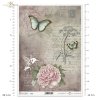 insect, bird, flower, peony, writing, Post Card, handwriting, hummingbird, butterfly, background, Insekt, Vogel, Blume, Pfingstrose, Schrift, Postkarte, Handschrift, Kolibri, Schmetterling, Hintergrund, insecto, pájaro, flor
