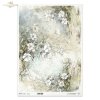 kwiaty flowers Blumen flores 