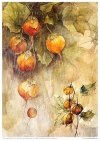 Creative Set MS038 Autumn Love Story